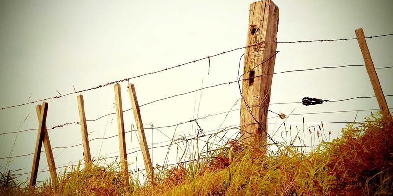 系统实战教程：手把手教你操作